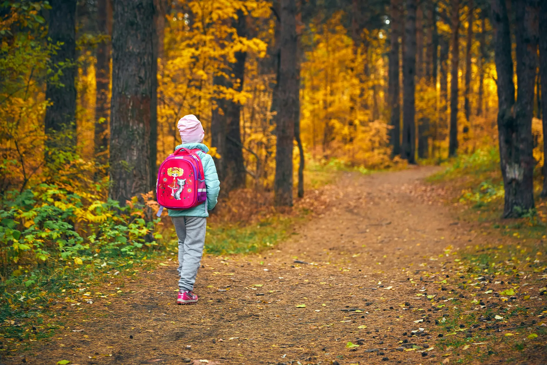 Child walking into forest