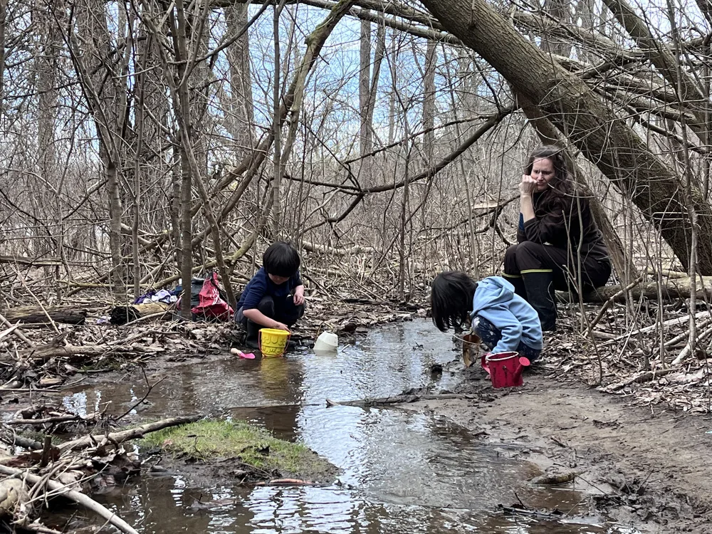 Children exploring the creek at Lakeside Park