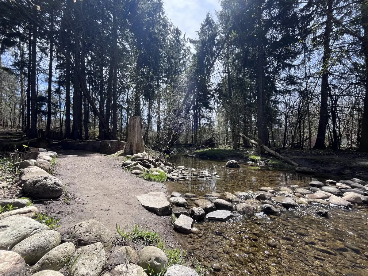 Creek with rocks and fallen log at Lakeside Park