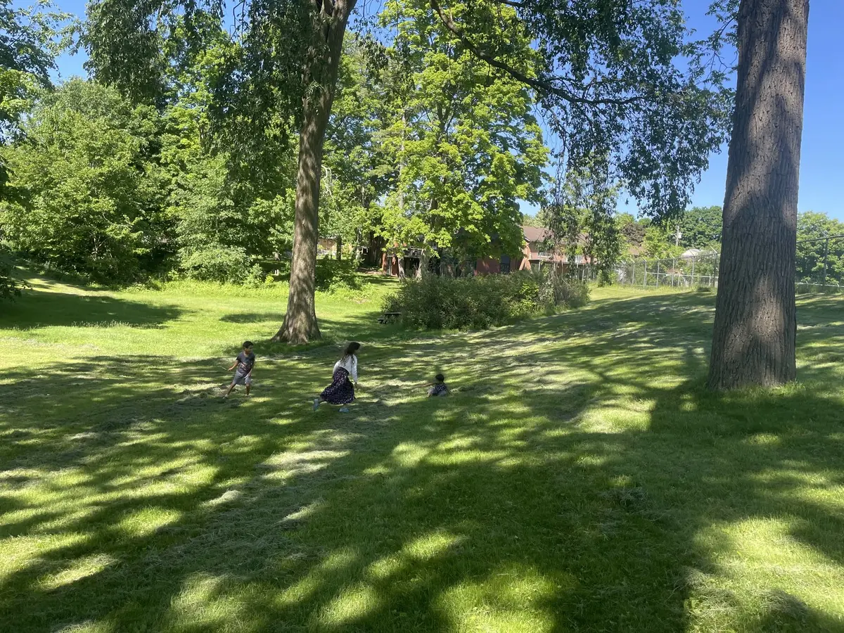 Open meadow with sweeping willow at Lakeside Park
