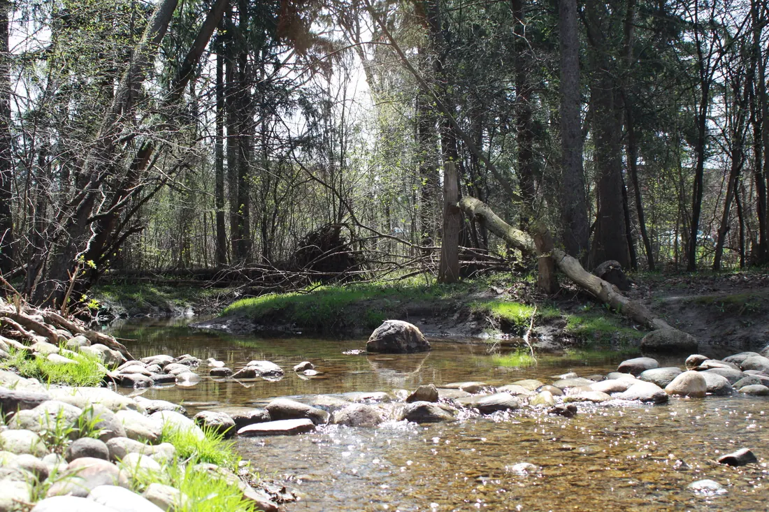 Sun-dappled creek with rocks at Lakeside Park