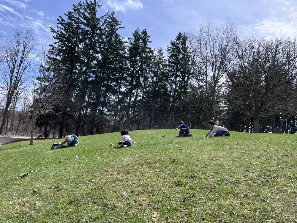 Children playing on green meadow in summer at Lakeside Park
